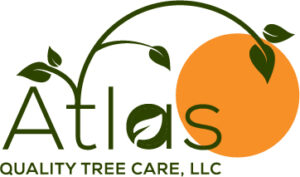 Tee Care healthcare logo design with simple icon